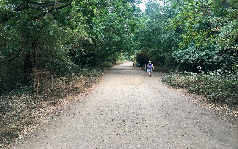 Parkland Walk
Peter Gilbert