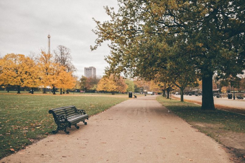 hyde park pathway