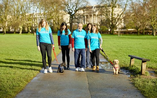 A group of walkers with dogs wearing blue Ovarian Cancer Action t-shirts
