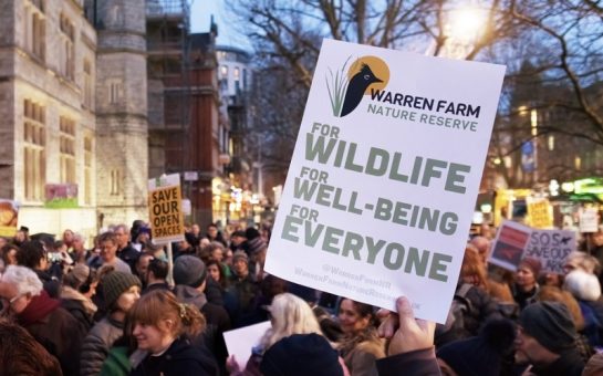 Warren Farm Nature Reserve demonstration at Ealing Town Hall