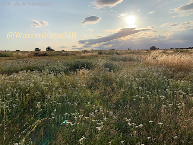 Warren Farm in Southall