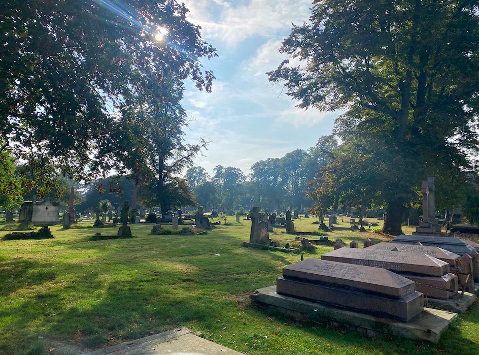 Paddington Old Cemetery in Kilburn is known for its biodiversity and notable gravestones