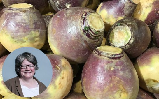 A background of turnips with Thérèse Coffey's face in a circle in the bottom left.