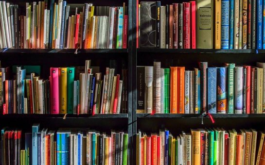 Shelves of books.