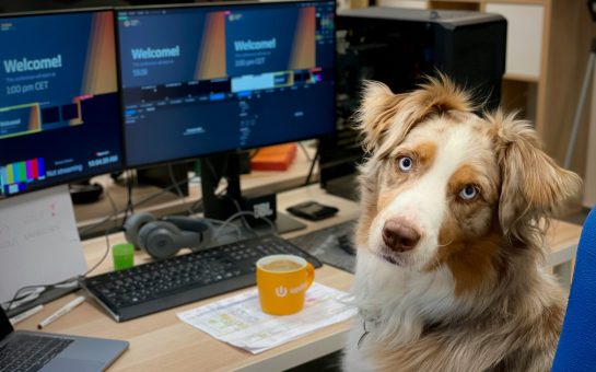 An image of a dog at a desk