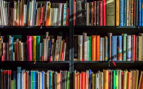 A beautiful bookshelf