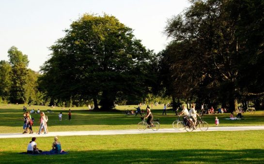 A photo of a park in summer.