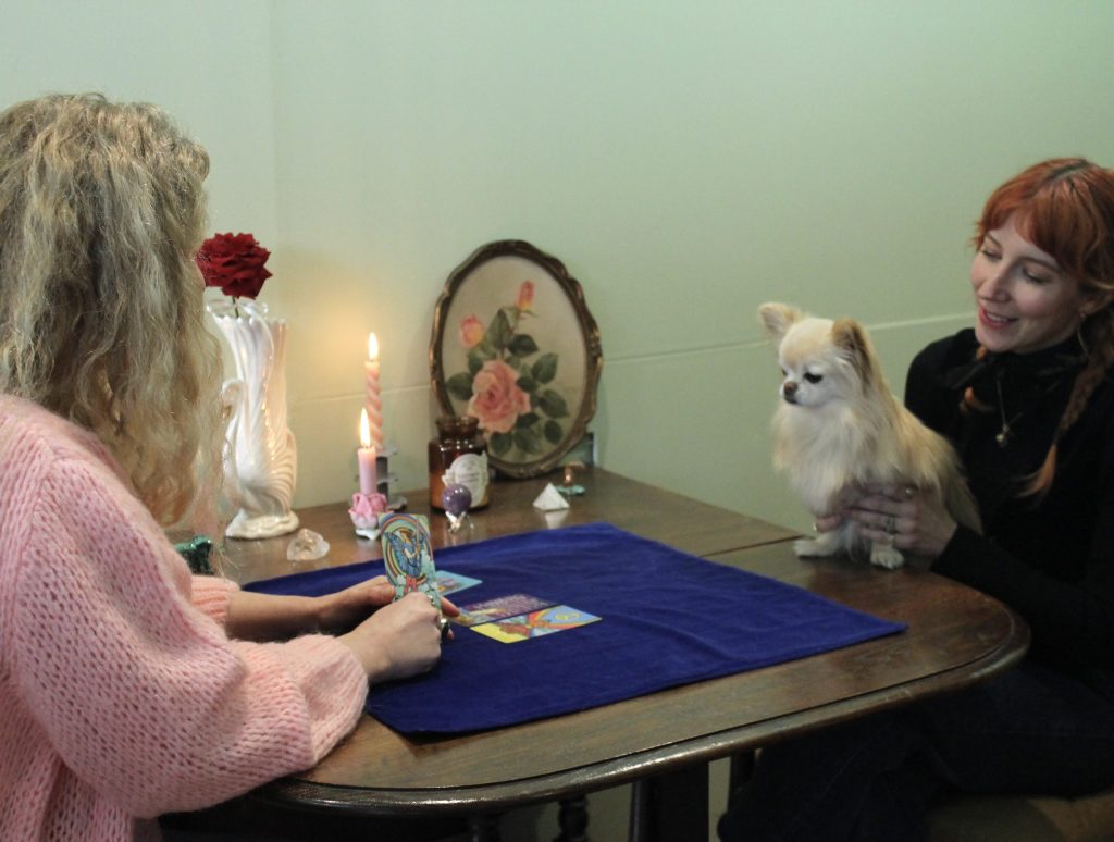 Yvette Farmer conducting a dog tarot card reading.