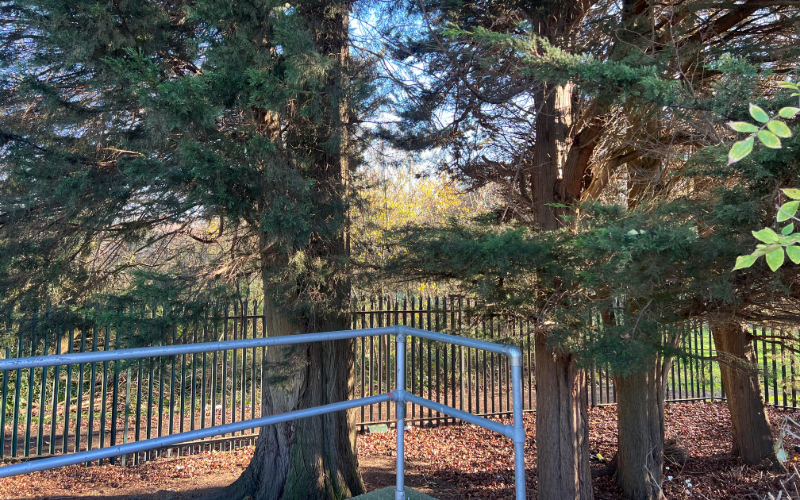 Picture: The fence that separates the GNLP from Glebelands nature reserve. Credit: Ikraan Mohamed