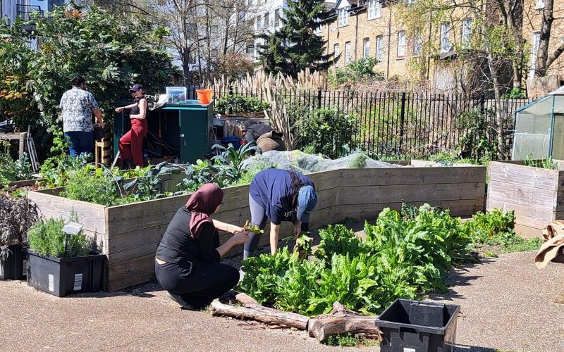Volunteers at the Rec
