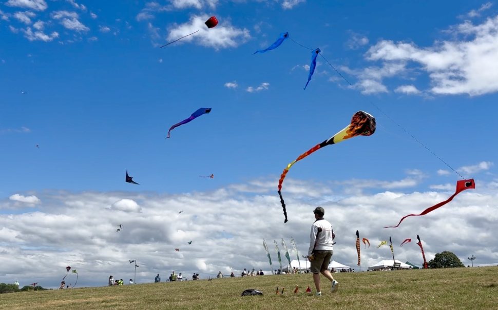 Professional flyers take to Hampstead Heath for sixth annual kite festival