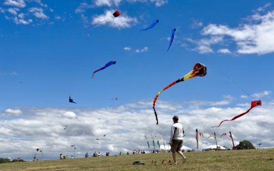 Professional flyers take to Hampstead Heath for sixth annual kite festival