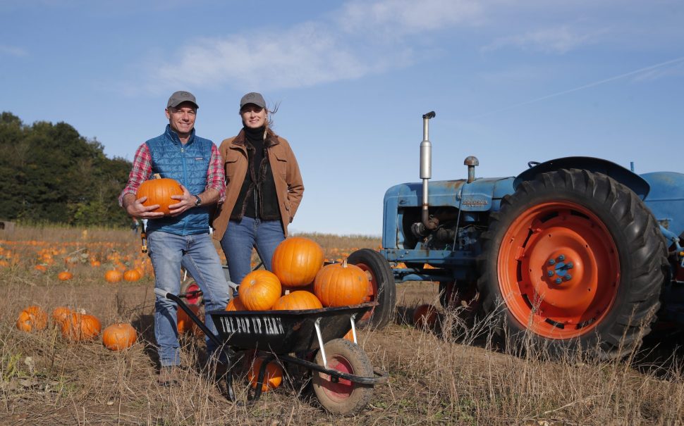 Ian and Gillian Pigott standing beside pumpkins at The Pop Up Farm