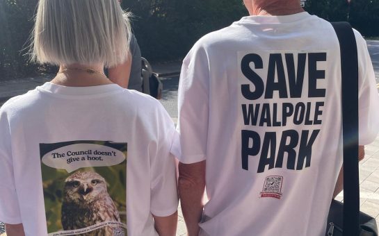 Save Walpole Park campaigners